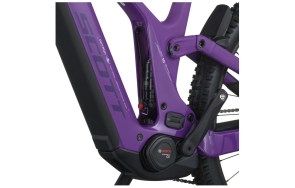 PATRON 920 PANCY PUR 2026